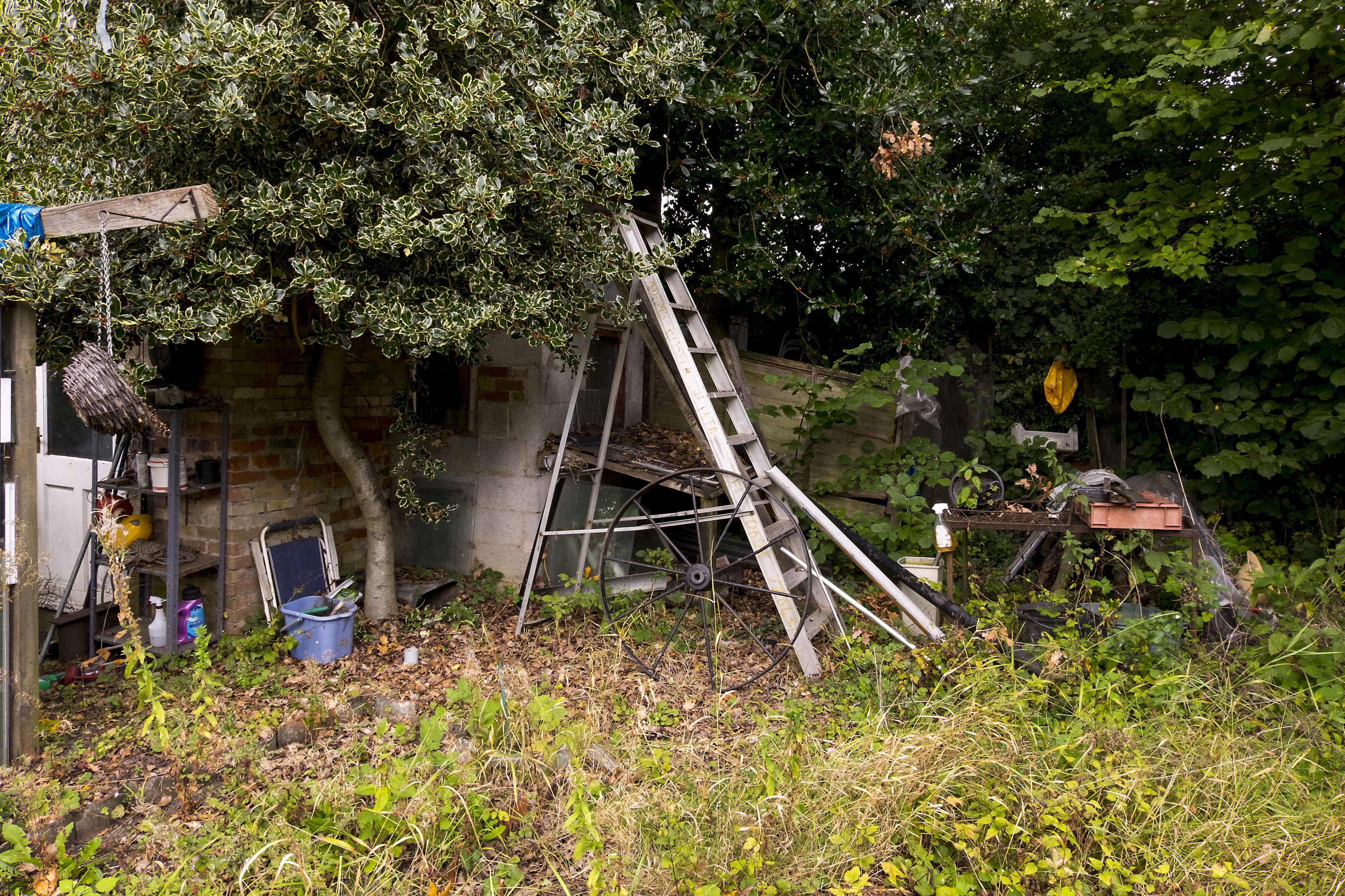 Our Garden Clearance Service in Penge